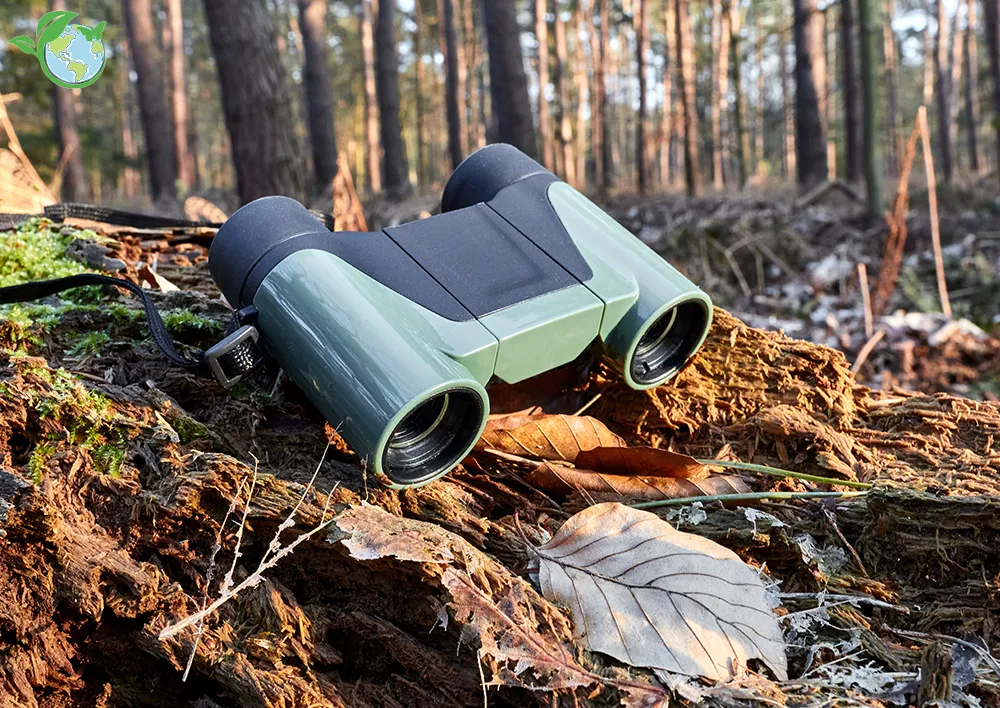 Fernglas für Kinder, vorfokussiert