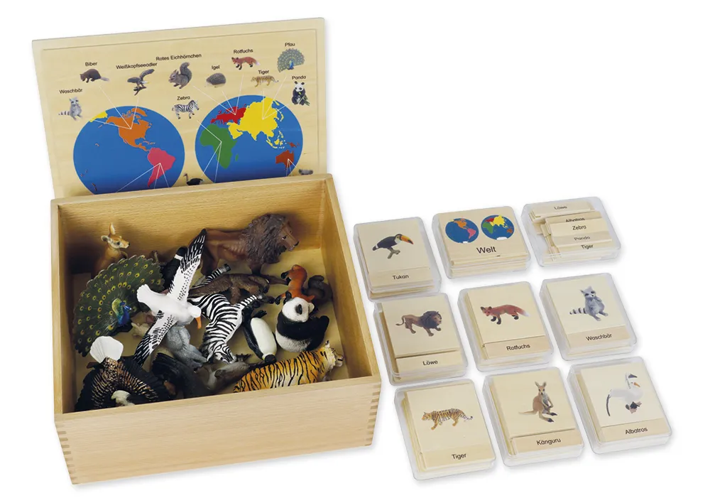 Coffret Animaux et Continents TimeTEX « Montessori Premium »