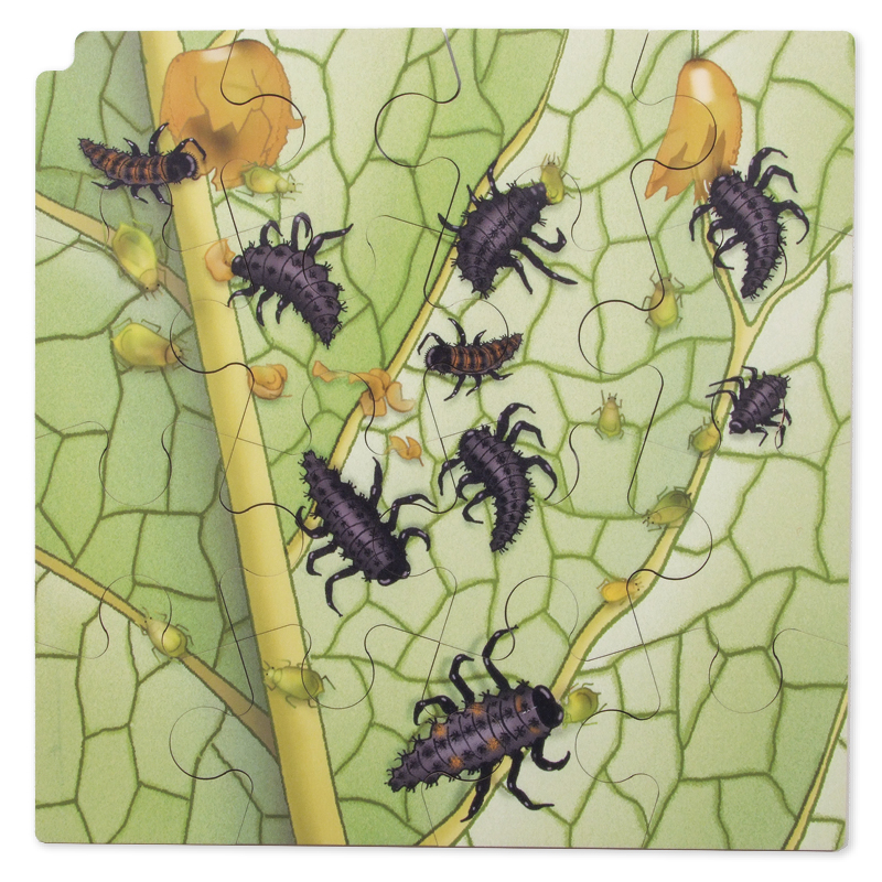 Lagerpussel "Nyckelpiga" + gratis APP, 86 delar.