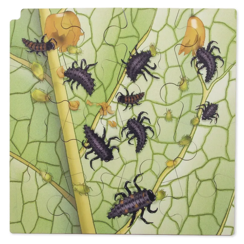 Lagerpussel "Nyckelpiga" + gratis APP, 86 delar.