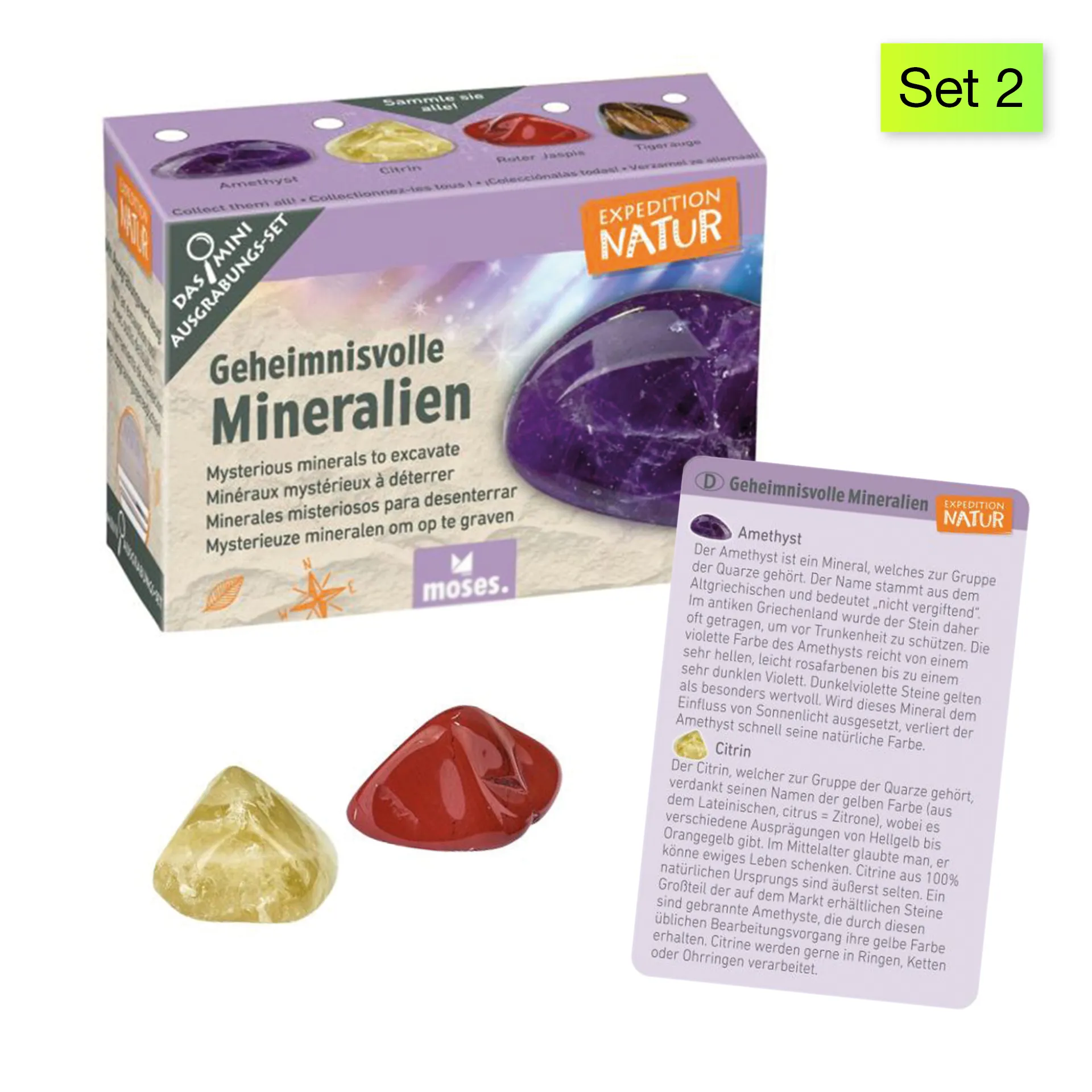 Ausgrabungs-Set "Schatzsuche", klein