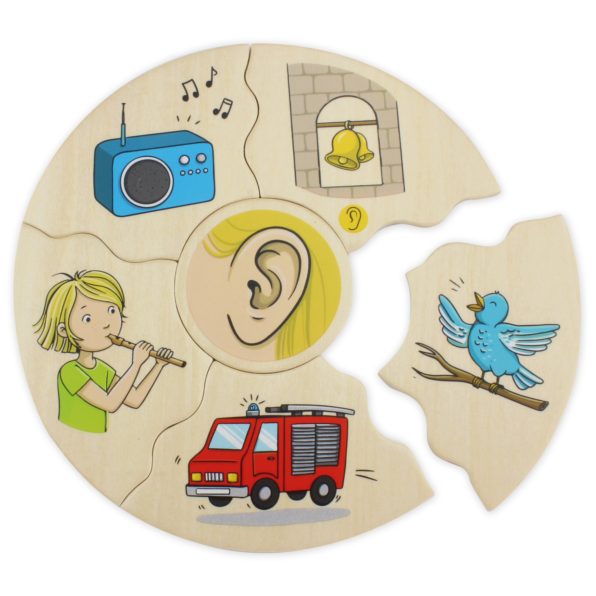 TimeTEX beleduc Puzzle Humanico "5 Sinne", 30-tlg.