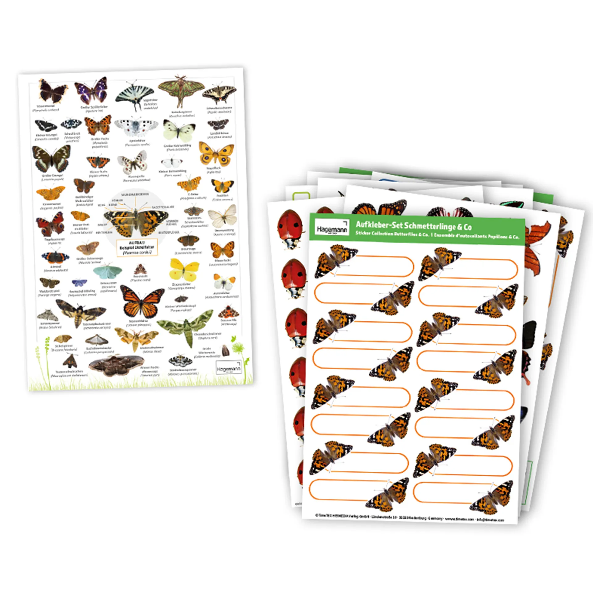 Zuchtset "Schmetterlinge", kompakt mit XXL-Voliere, 7-tlg.