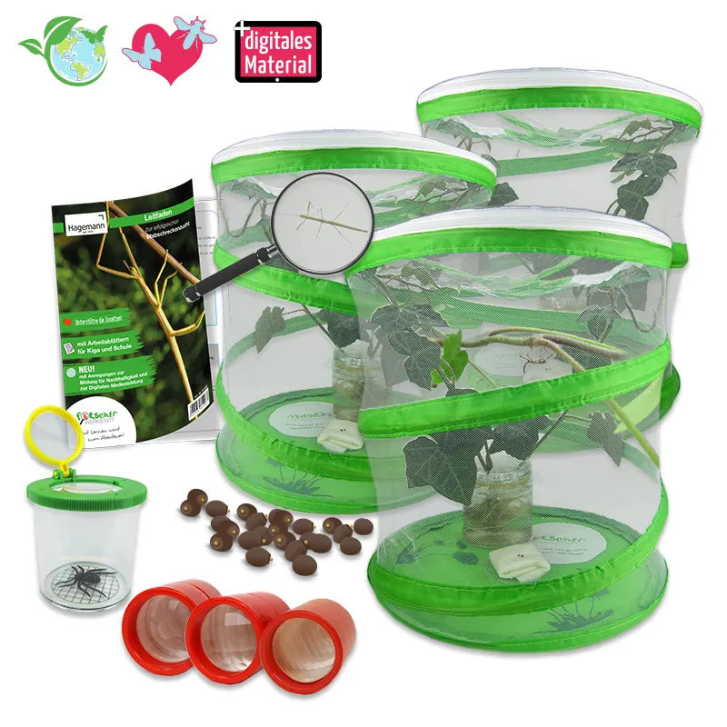 Gruppen-Projektset "Stabschrecken", 7-tlg.