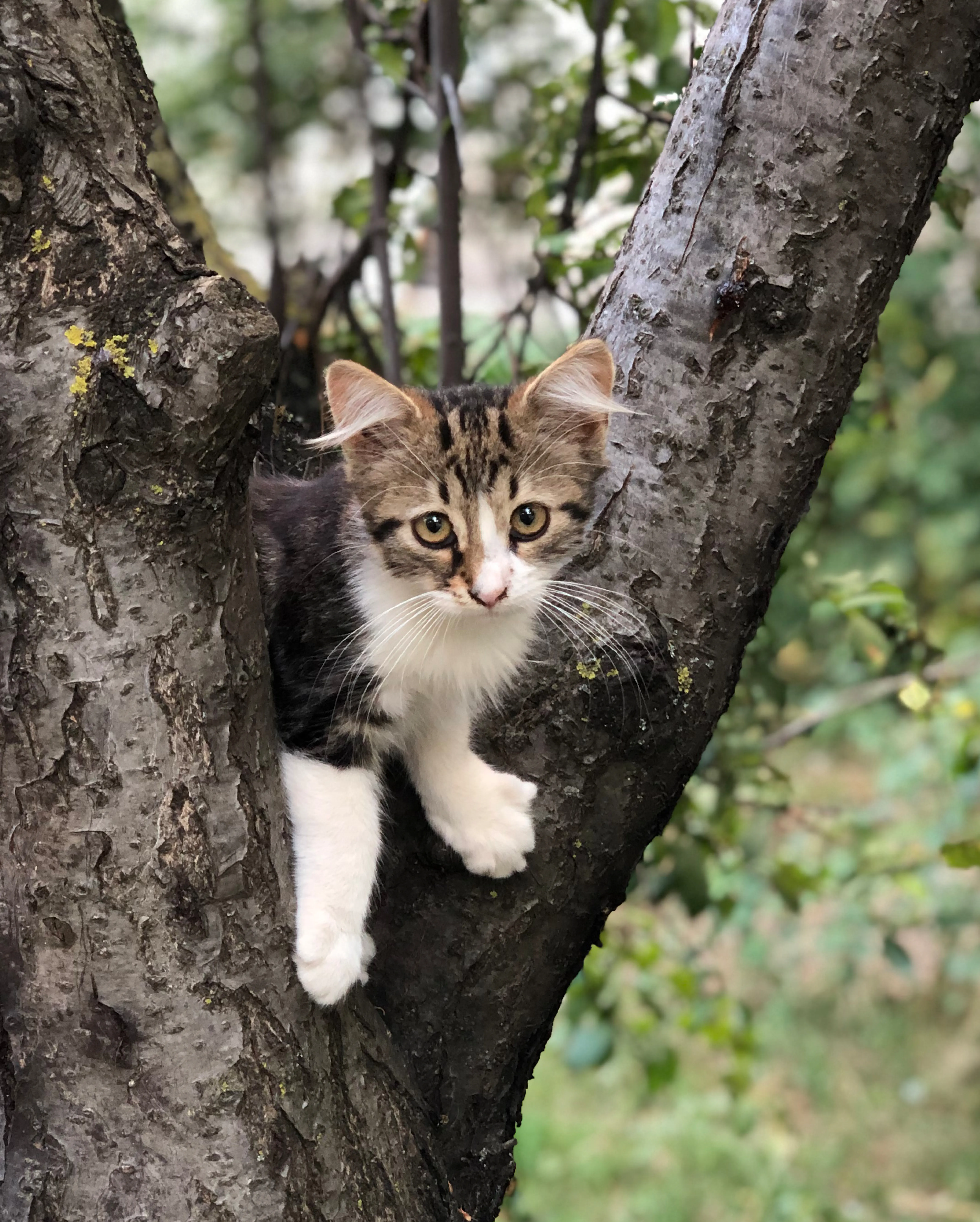 Bewegungsgeschichten Feuerwehr und Polizei 1540x1920px-2