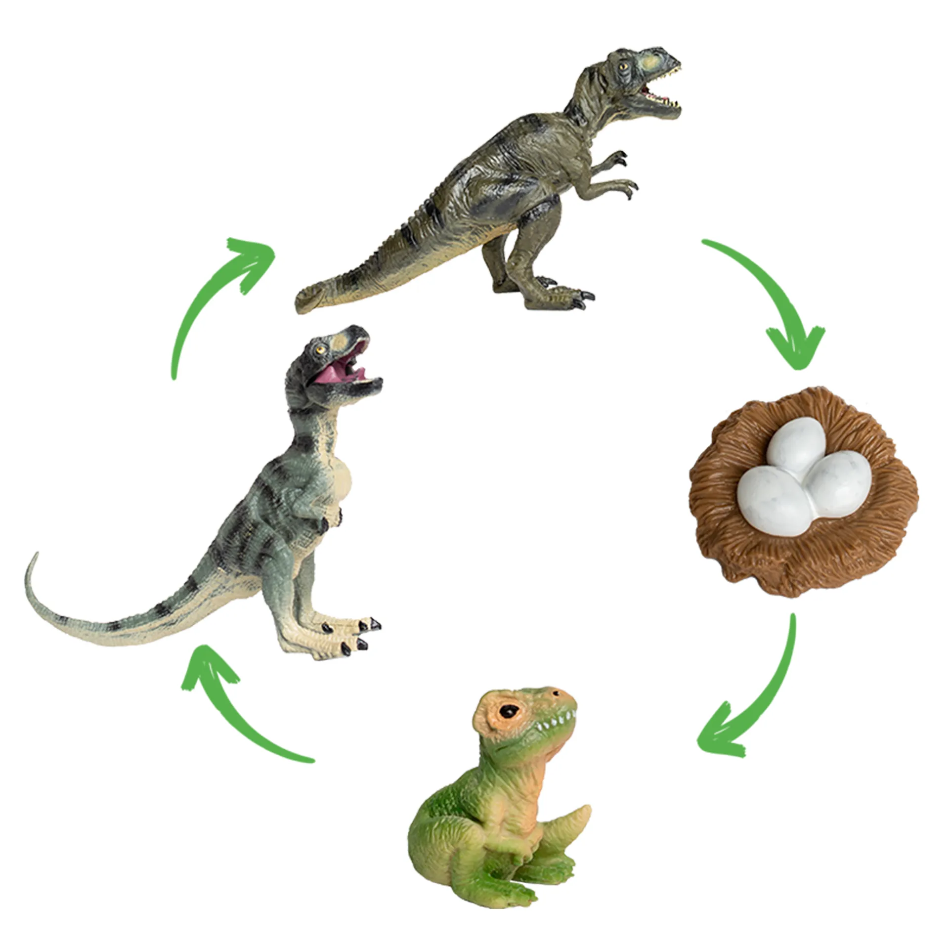 Levenscyclus "Dinosaurus", 4-delig