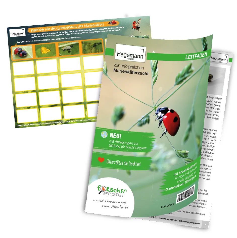 Zuchtset "Marienkäfer", 6-tlg.