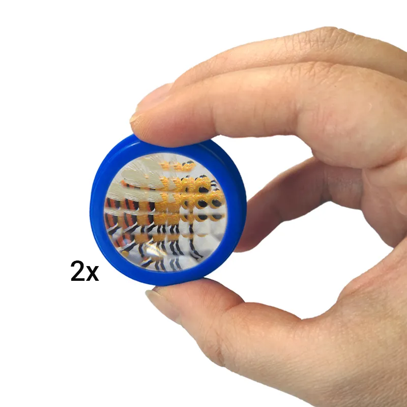 Gruppen-Projektset "Schmetterlinge", 21-tlg.