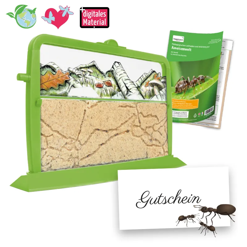 Gutschein-Set "Ameisen", 4-tlg.