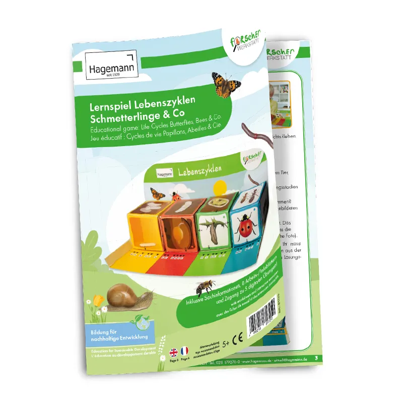 Lernspiel-Würfel "Lebenszyklus Schmetterlinge & Co.", 5-tlg.