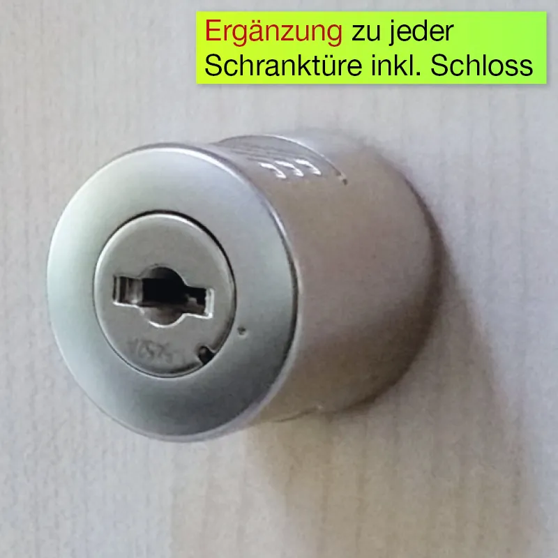 Dreh-Griff-Olive mit Schloss