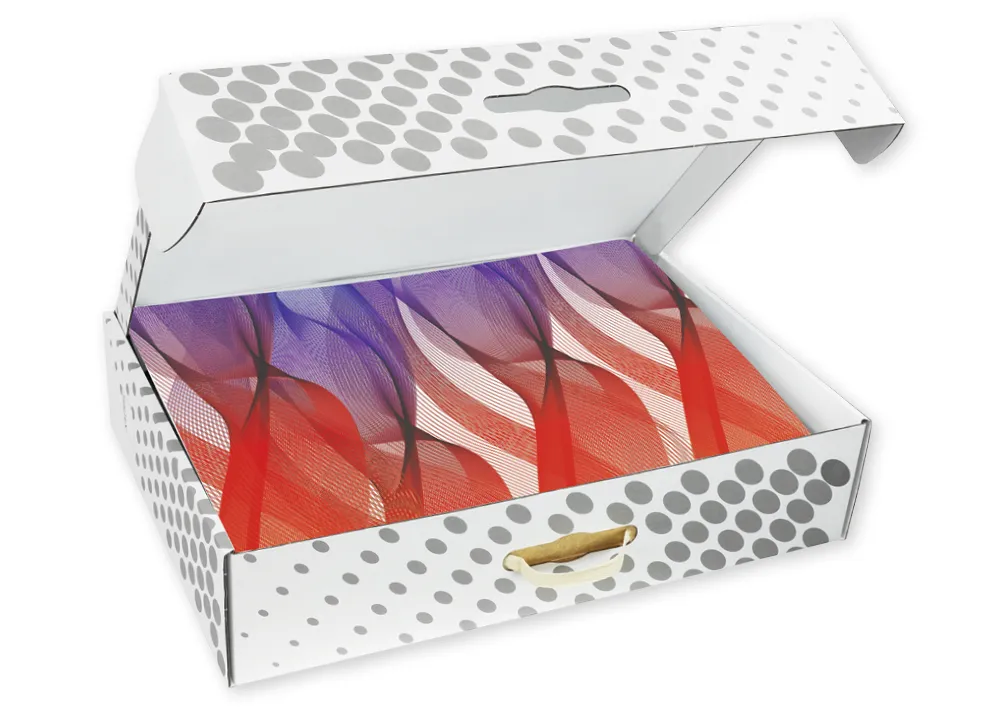 Clausura resväska klass set, färgad