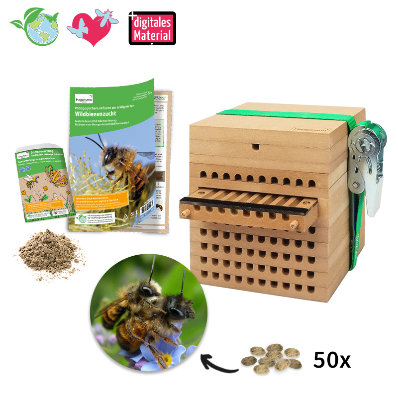 TimeTEX Zuchtset "Wildbienen mit Kokons", Gehörnte Mauerbiene, 5-tlg.