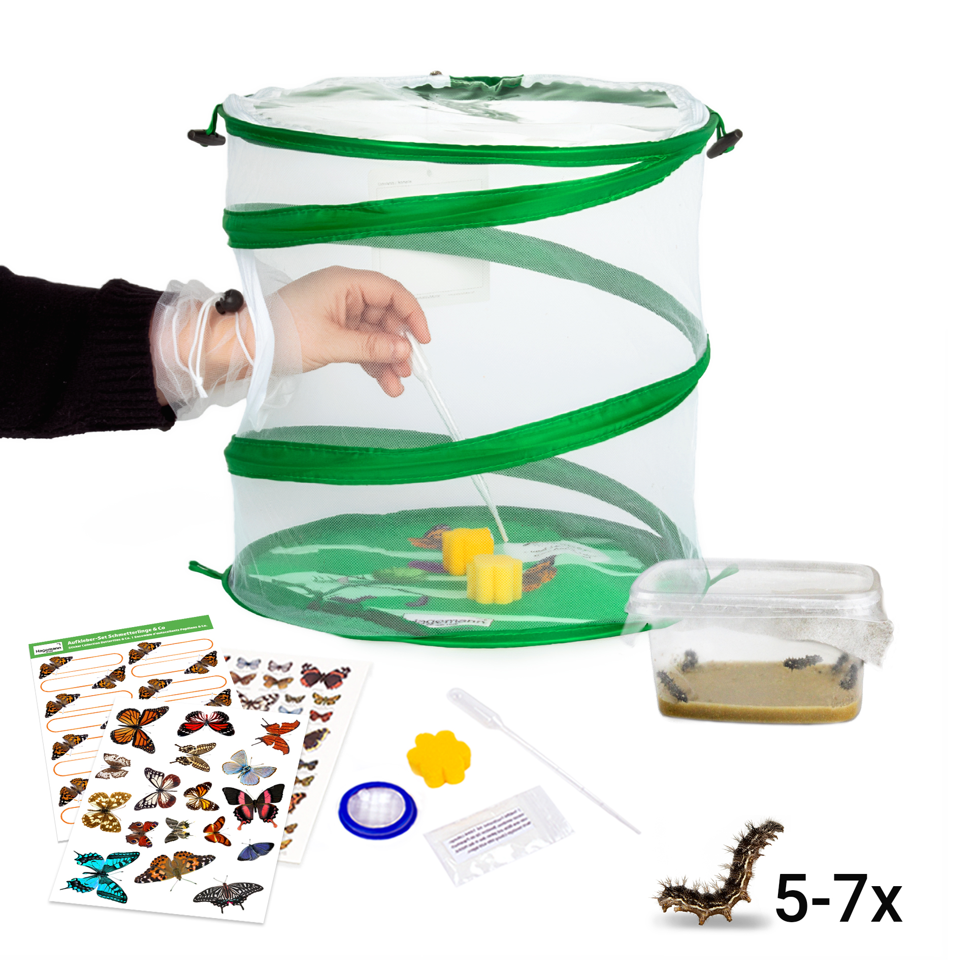 TimeTEX Zuchtset "Schmetterlinge", kompakt mit Komfort-Netz, 7-tlg.