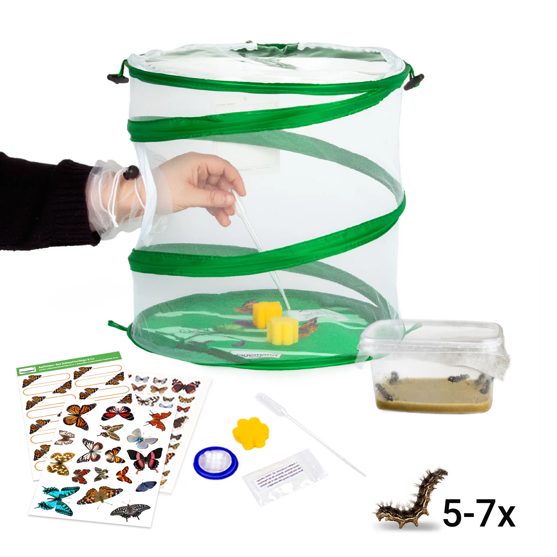Zuchtset "Schmetterlinge", kompakt mit Komfort-Netz, 7-tlg.