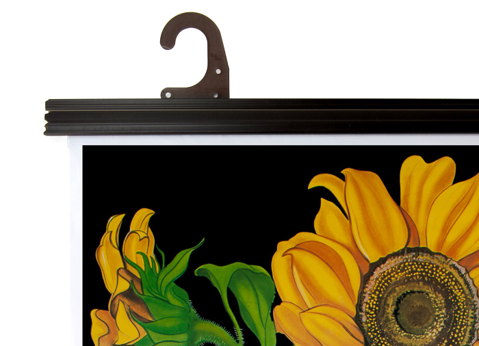 Hagemann Leistenpaar Kunststoff 100 cm mit 2 Haken