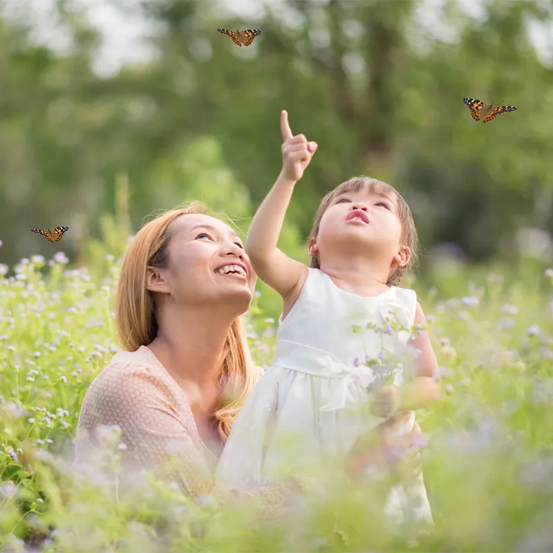 Hagemann kweekset „Vlinders“, 8-delig