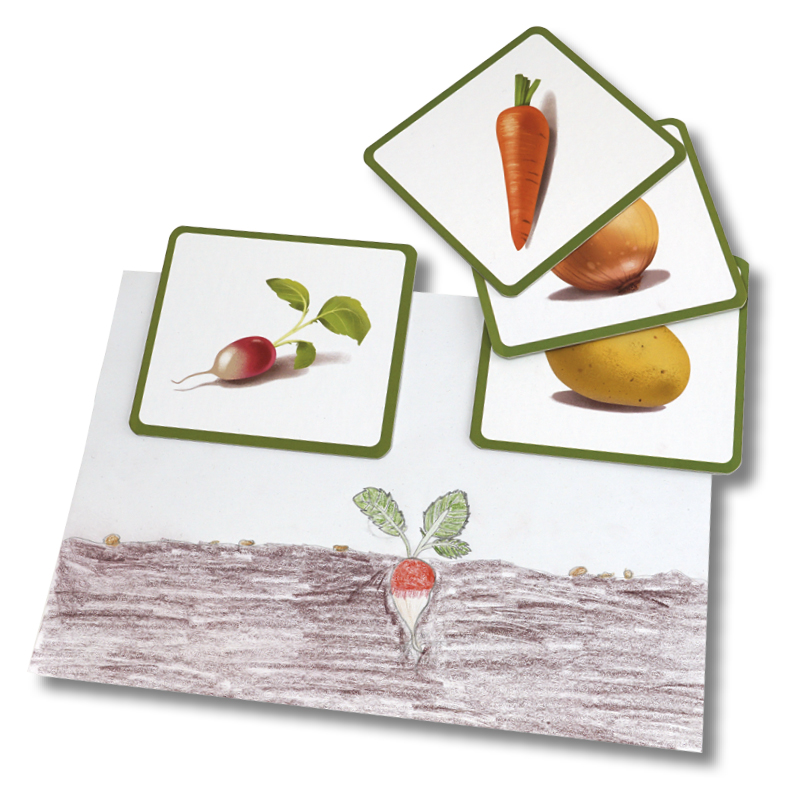 Bildkarten Gemüse, 24-tlg.