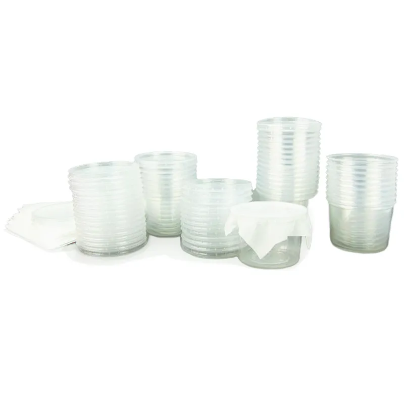 Nachbestellung Schmetterlings-Raupen, Klassensatz, 30-35 Stück