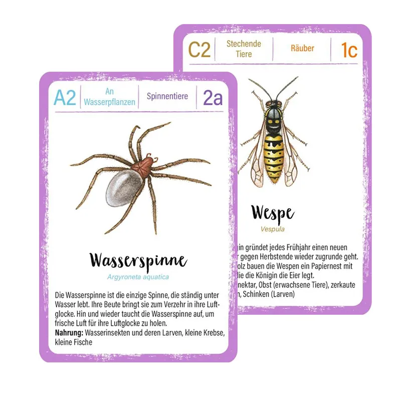 Lernspiel "Minimonster Insekten-Quartett", 32 Karten