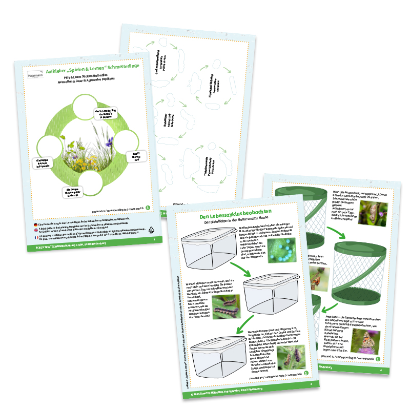 Aufkleber „Schmetterlinge", 227-tlg.