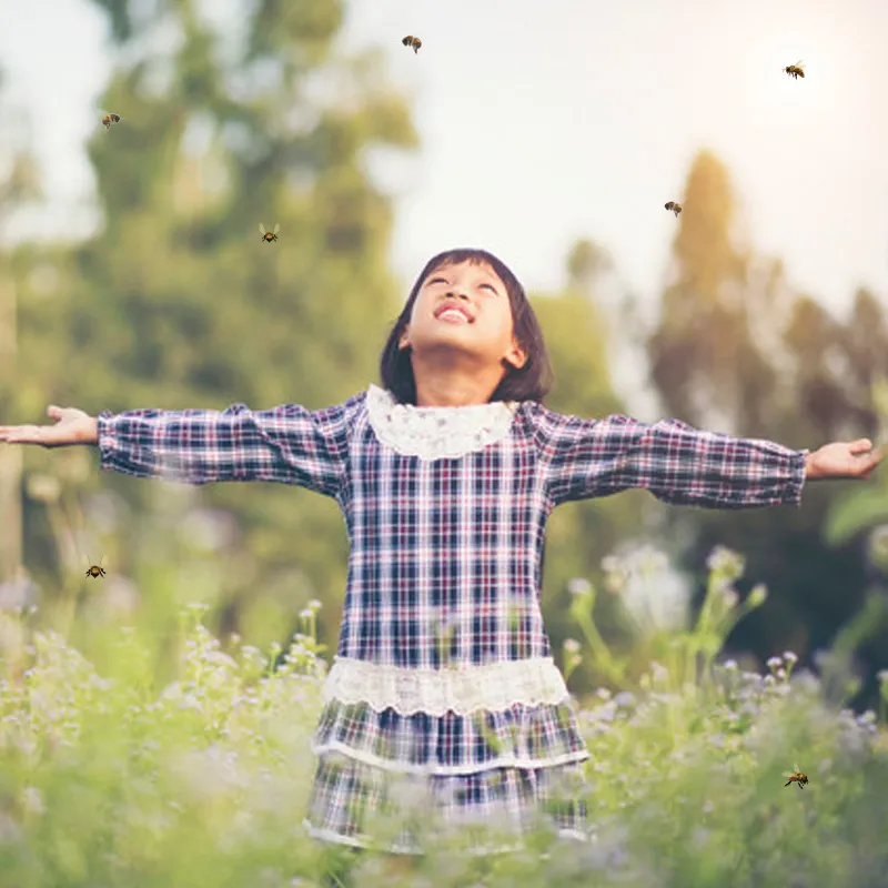 Kweekset "wilde bijen met cocons", 5-delig