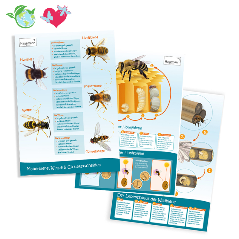 Set Bienen-Poster A2, 3-tlg.