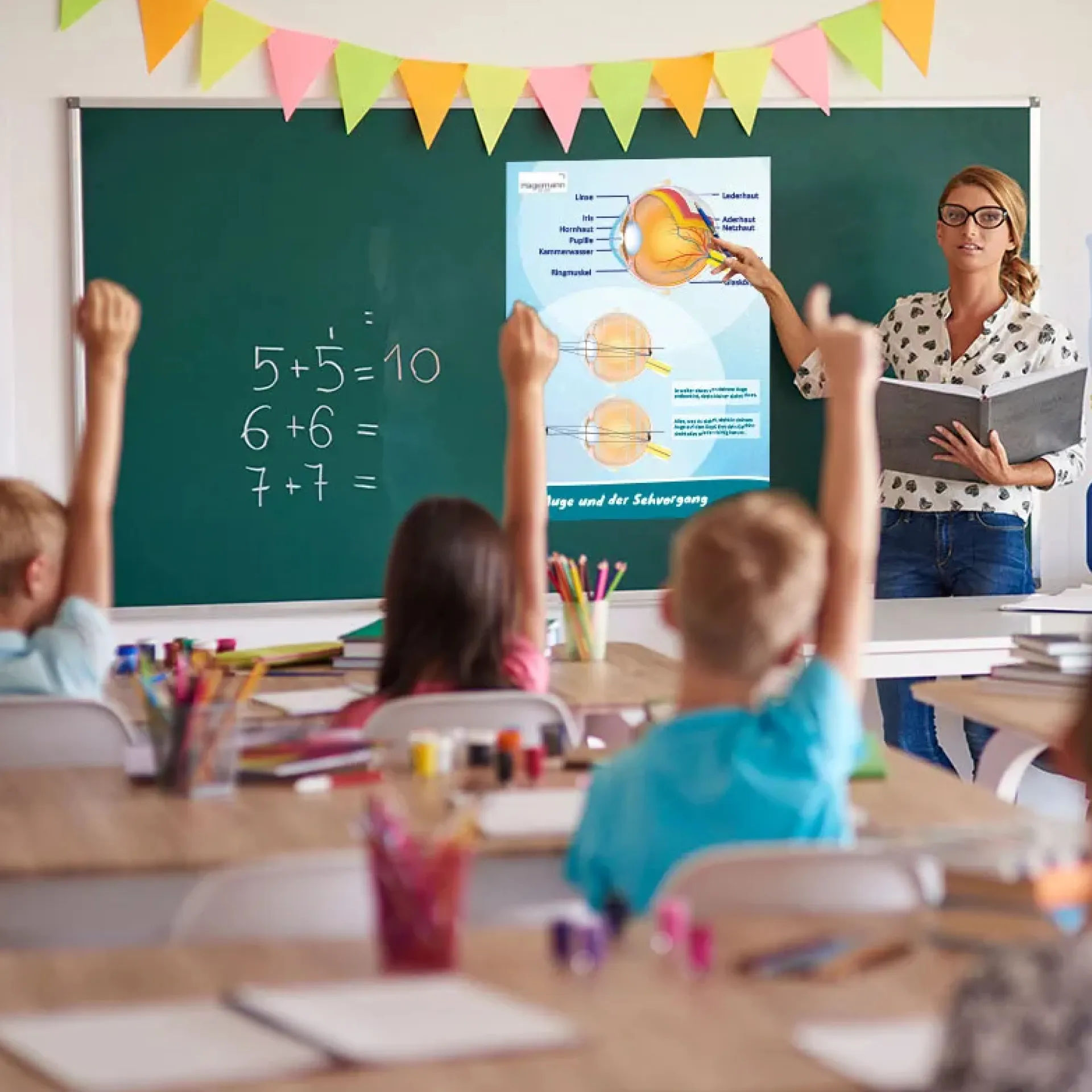 Poster A2 "Das Auge und der Sehvorgang"