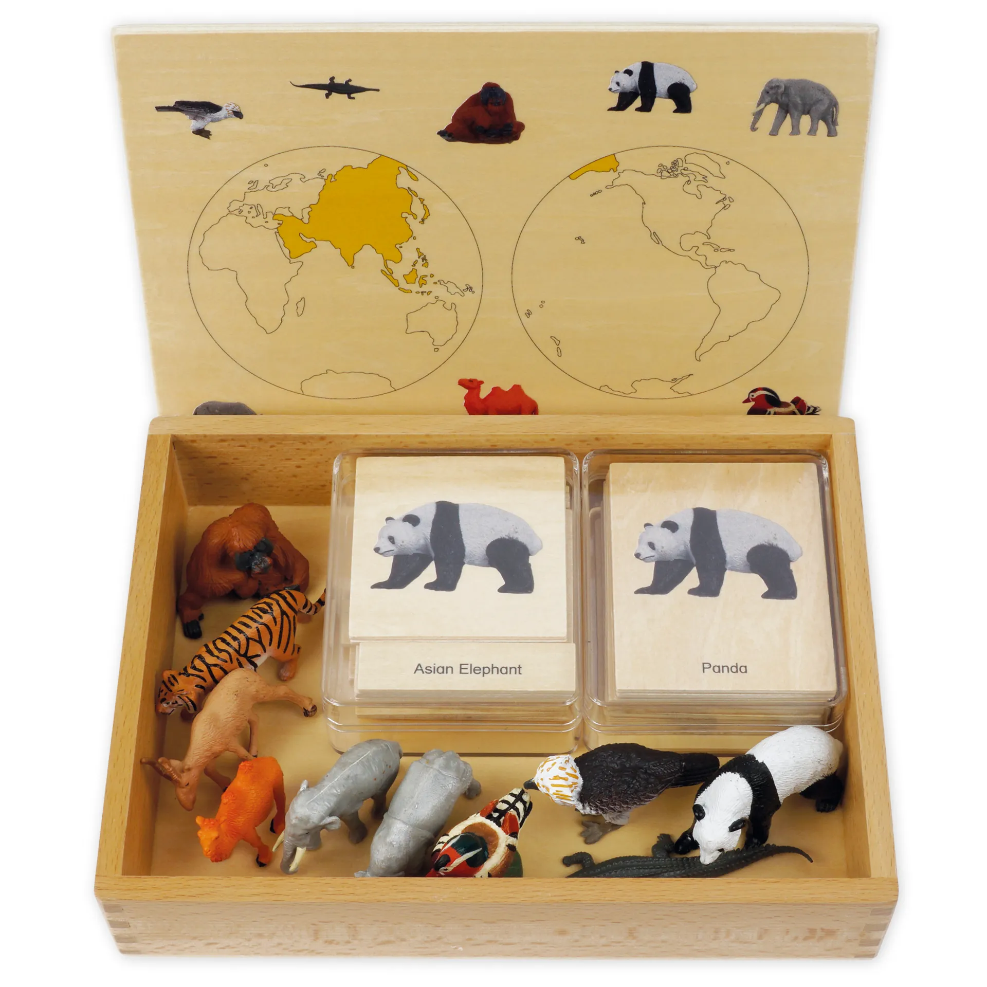 TimeTEX Mini-Tiere-Set Asien "Montessori Premium"
