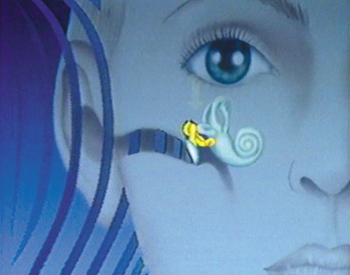 Hagemann DVD-Lehrfilm Der Mensch - Der Bewegungsapparat