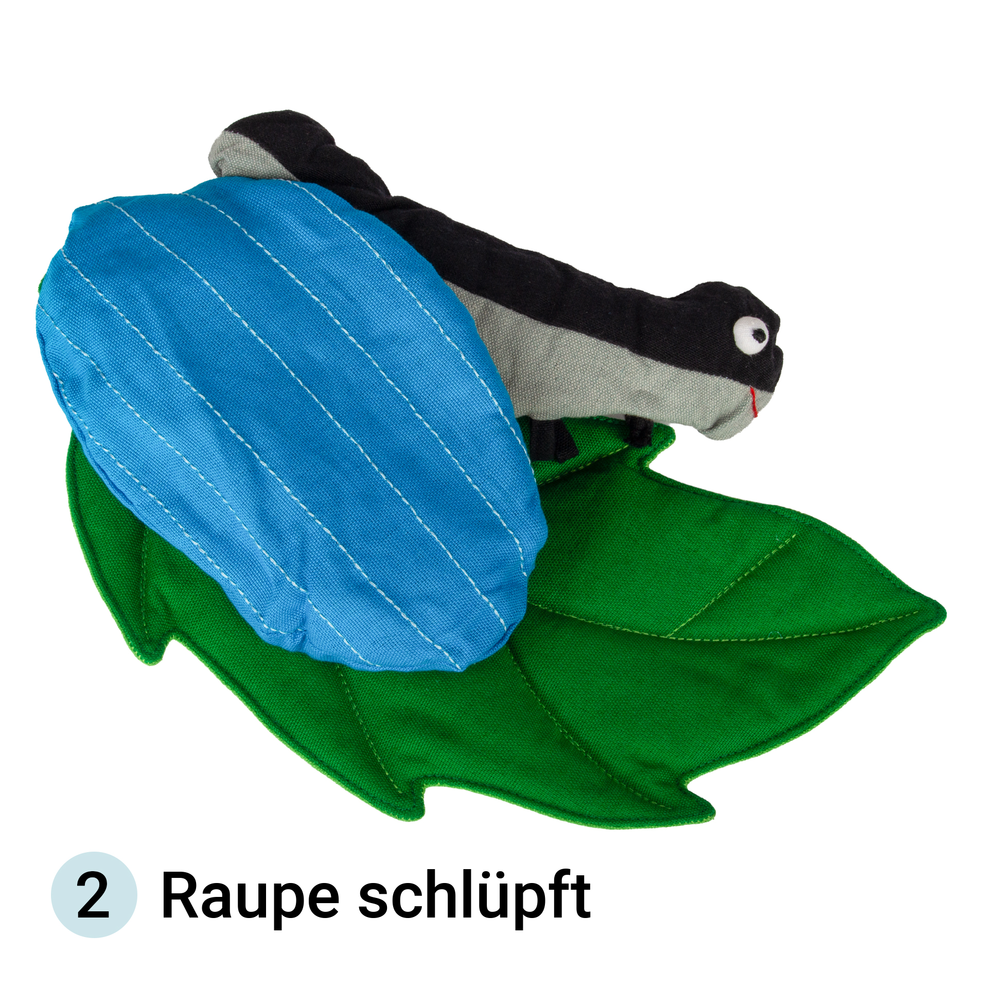 Levenscyclus vlinder, stoffen model, 3-delig