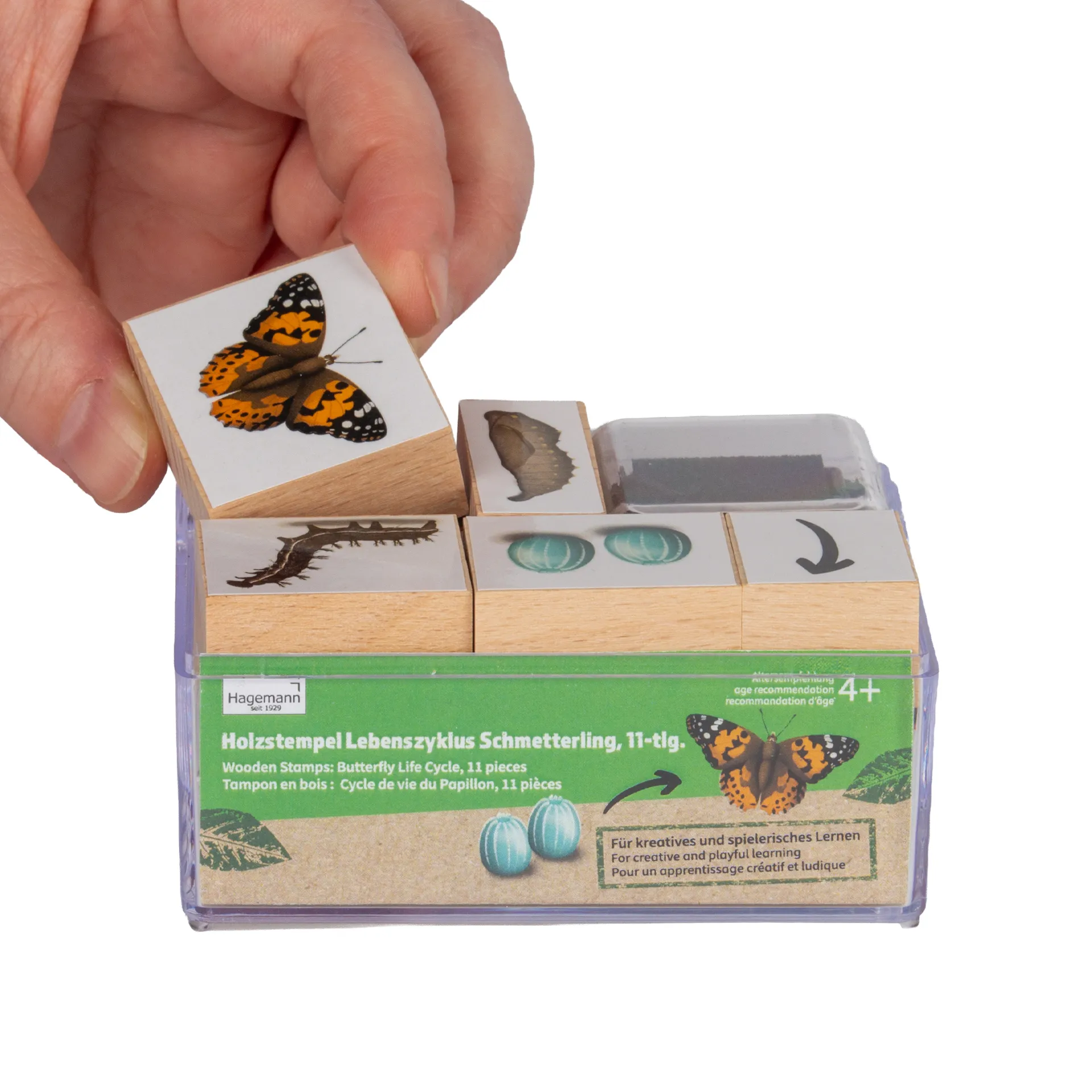 Set Holzstempel "Lebenszyklus Schmetterling", 11-tlg. mit Stempelkissen