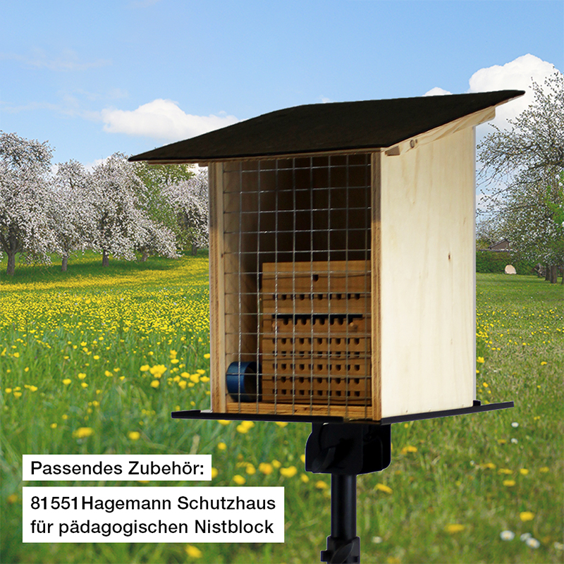 Zuchtset "Wildbienen mit Kokons", Rote Mauerbiene, 5-tlg. Zuchtset "Wildbienen mit Kokons", Rote Mauerbiene, 5-tlg.