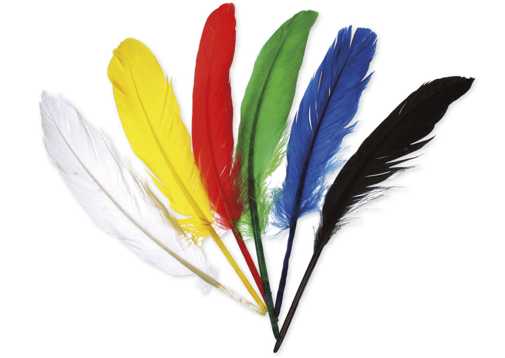 Hagemann Große Federn in 6 Farben, 17 Stück