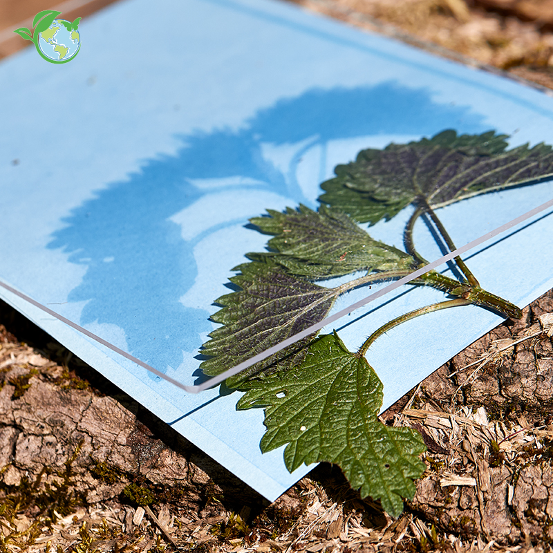 Foto-Solarpapier 178x127 mm, mit Fixierscheibe, 40 Blatt
