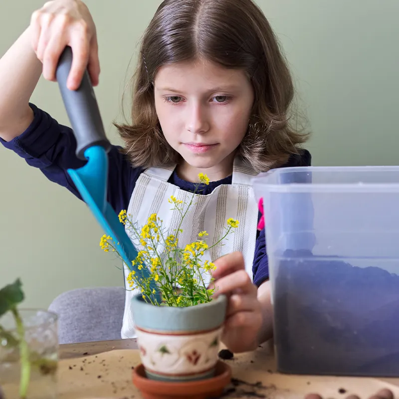 Zuchtset "Nachwachsende Rohstoffe", 13-tlg.