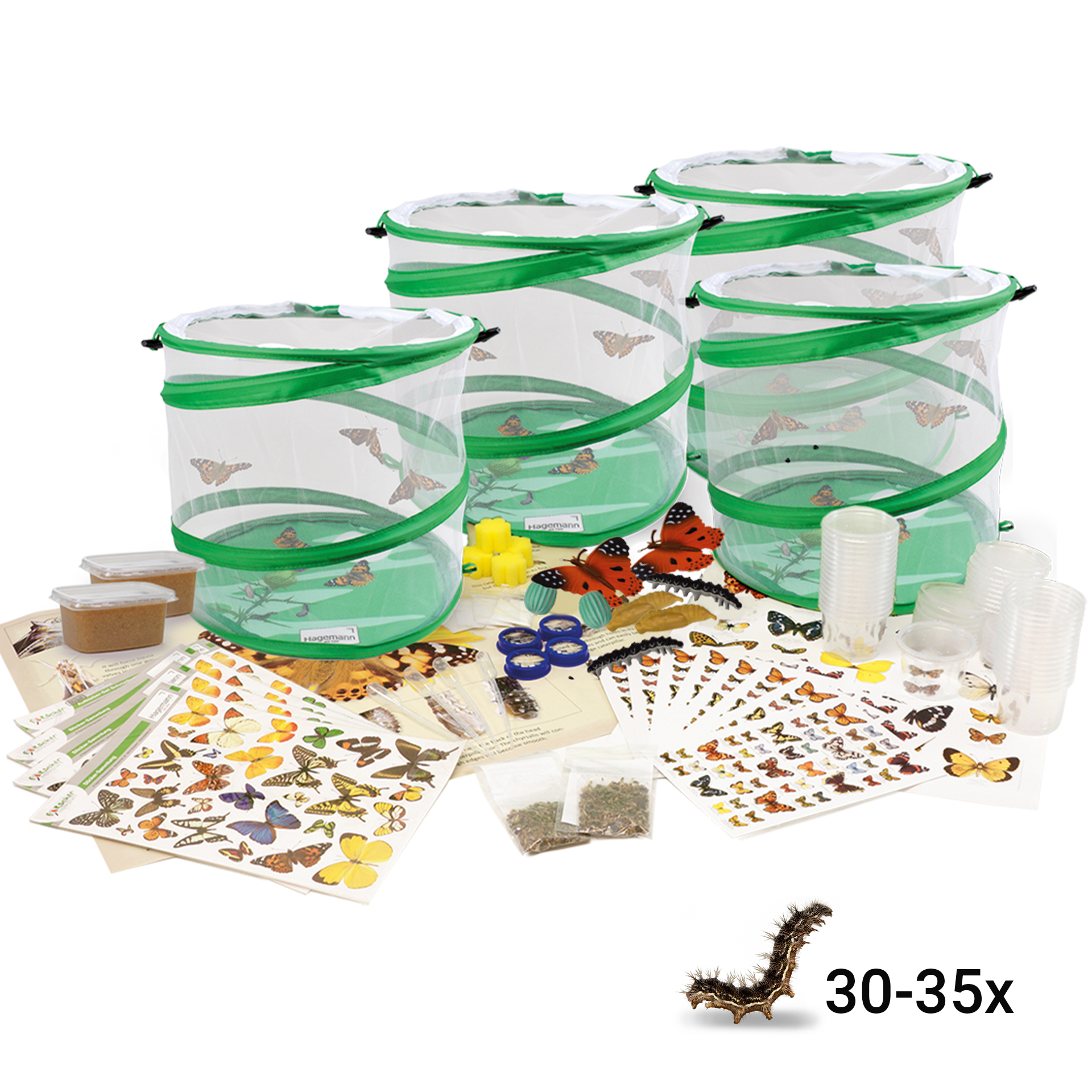 Klassen-Projektset "Schmetterlings-Zucht", 65-tlg.