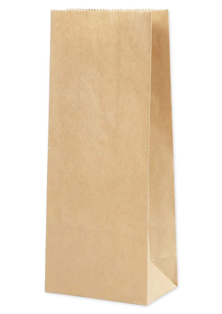 Papiertüten braun, 100-tlg.