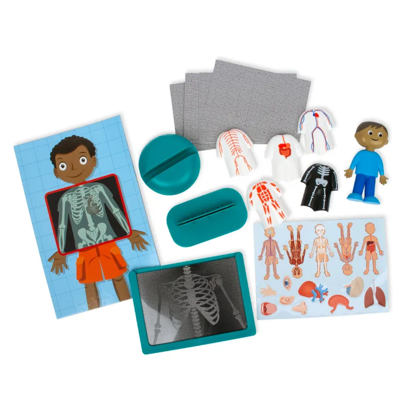 Lernspiel "Der menschliche Körper", Steck-Set, 17-tlg.