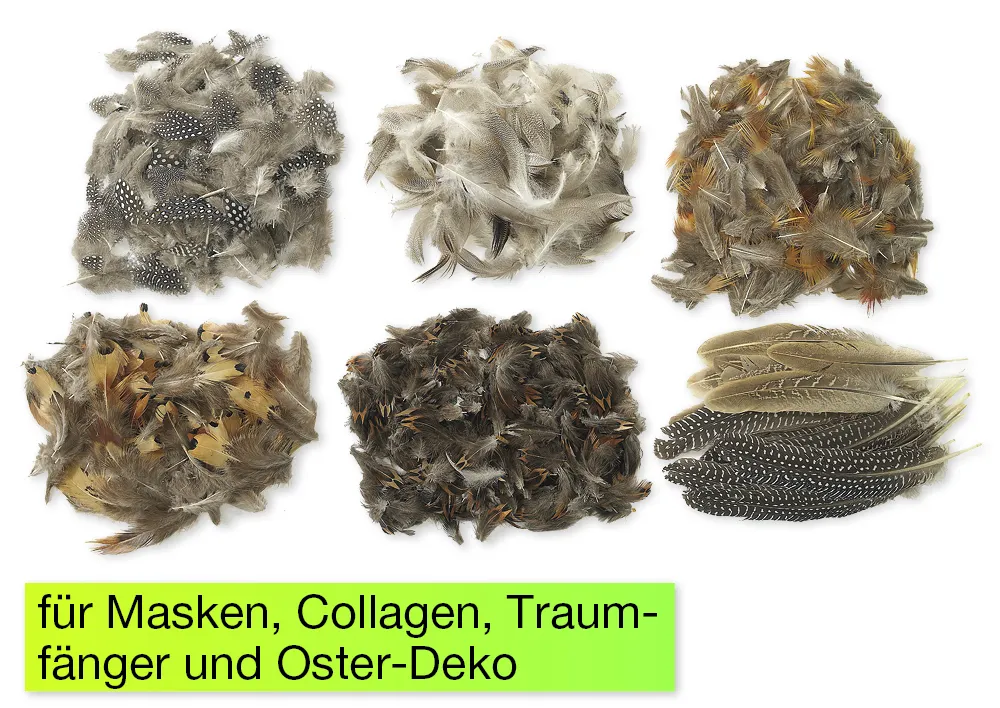 Naturfedern, 6 Sorten