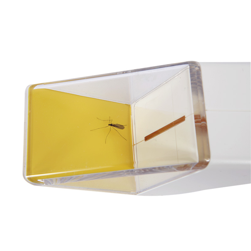 Insekten-Fänger "Snapy"