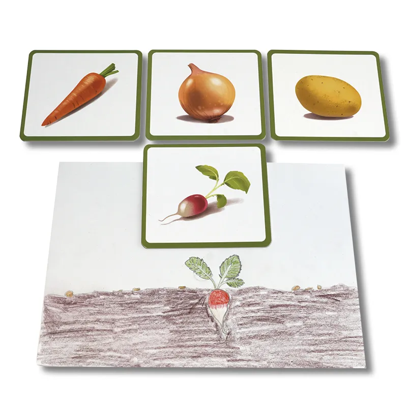 Bildkarten Gemüse, 24-tlg.
