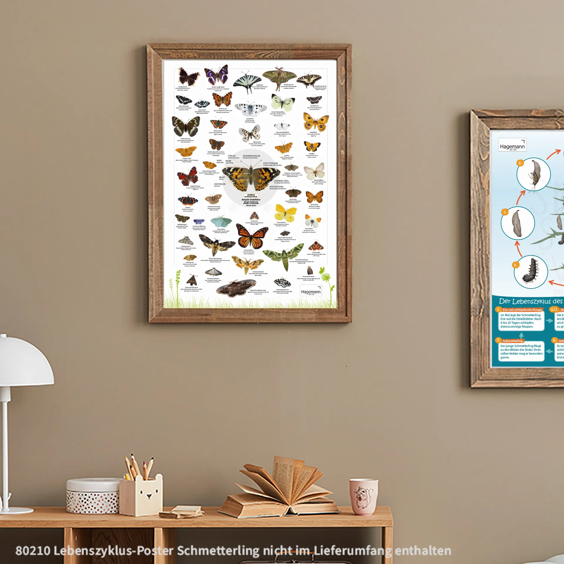 Naturposter A2 "Schmetterlinge"