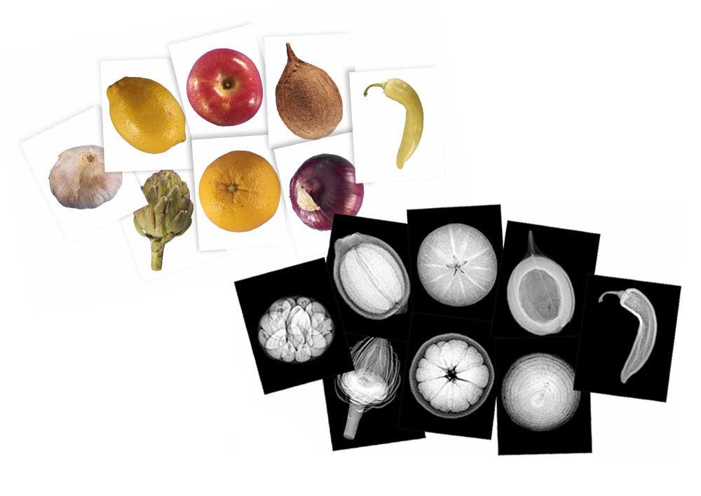 Hagemann Röntgenbilder Pflanzen, 84 tlg.