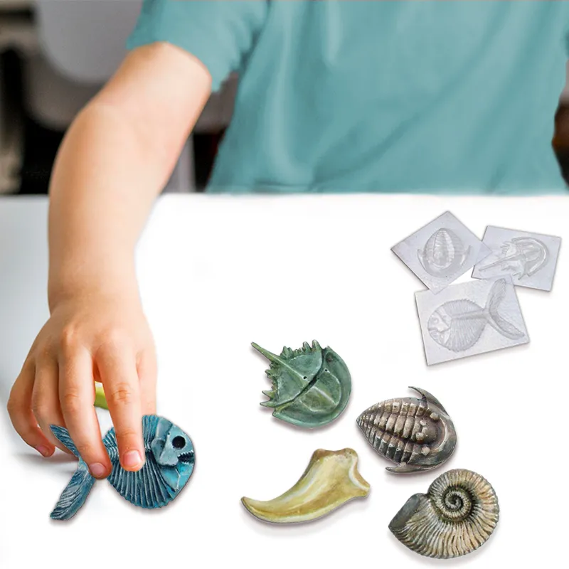 Set Gießformen "Fossilien", 5 Stück