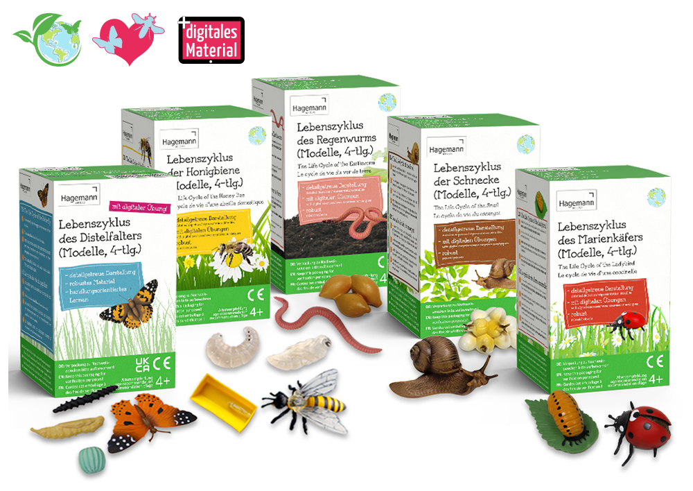Set de modèles de cycle de vie avec figurines « Insectes & Co. », 20 pcs