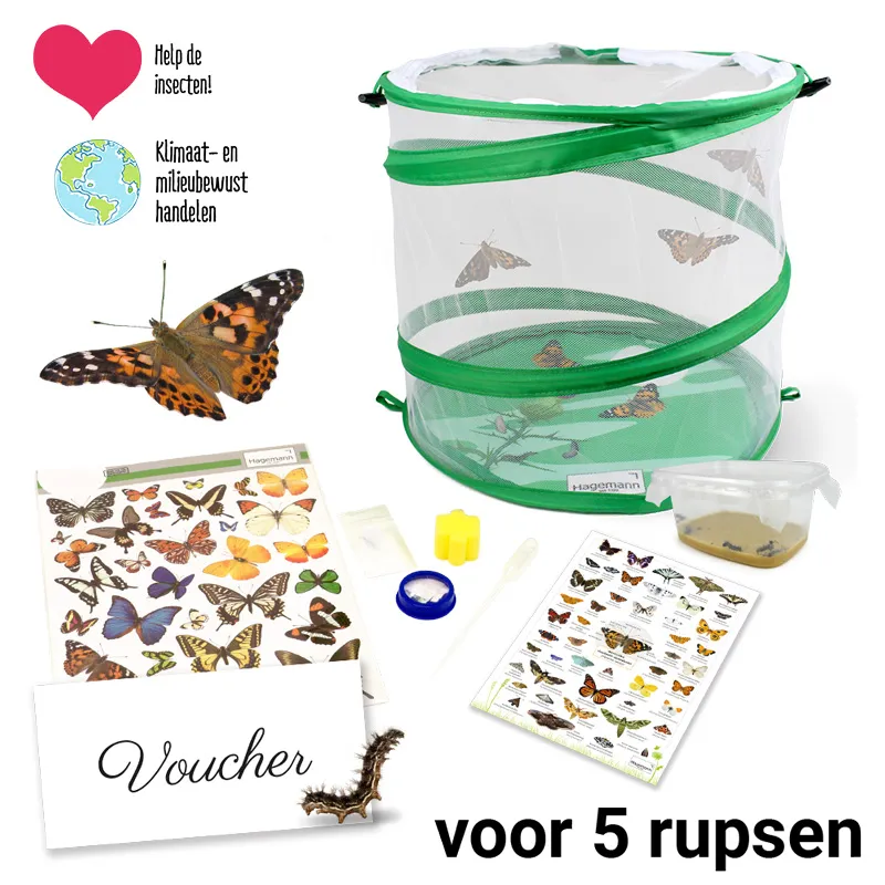 Hagemann kweekset „Vlinders“, 8-delig