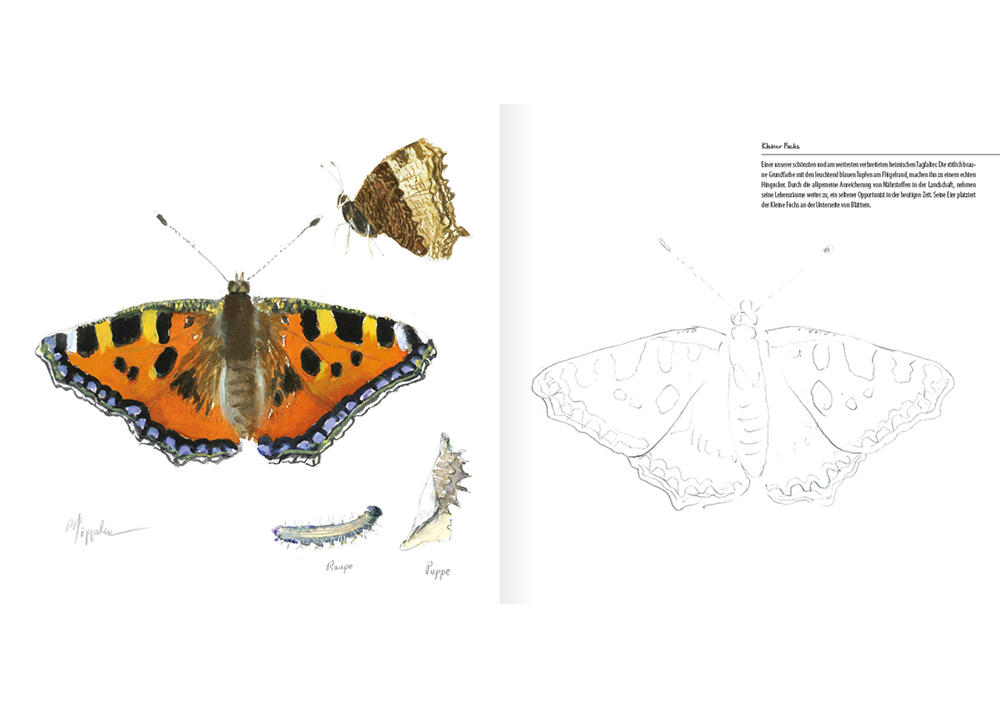 Mal- und Zeichenbuch "Bezaubernde Schmetterlinge", 32 Seiten