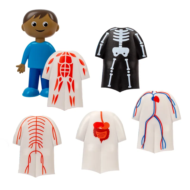 Lernspiel "Der menschliche Körper", Steck-Set, 17-tlg.