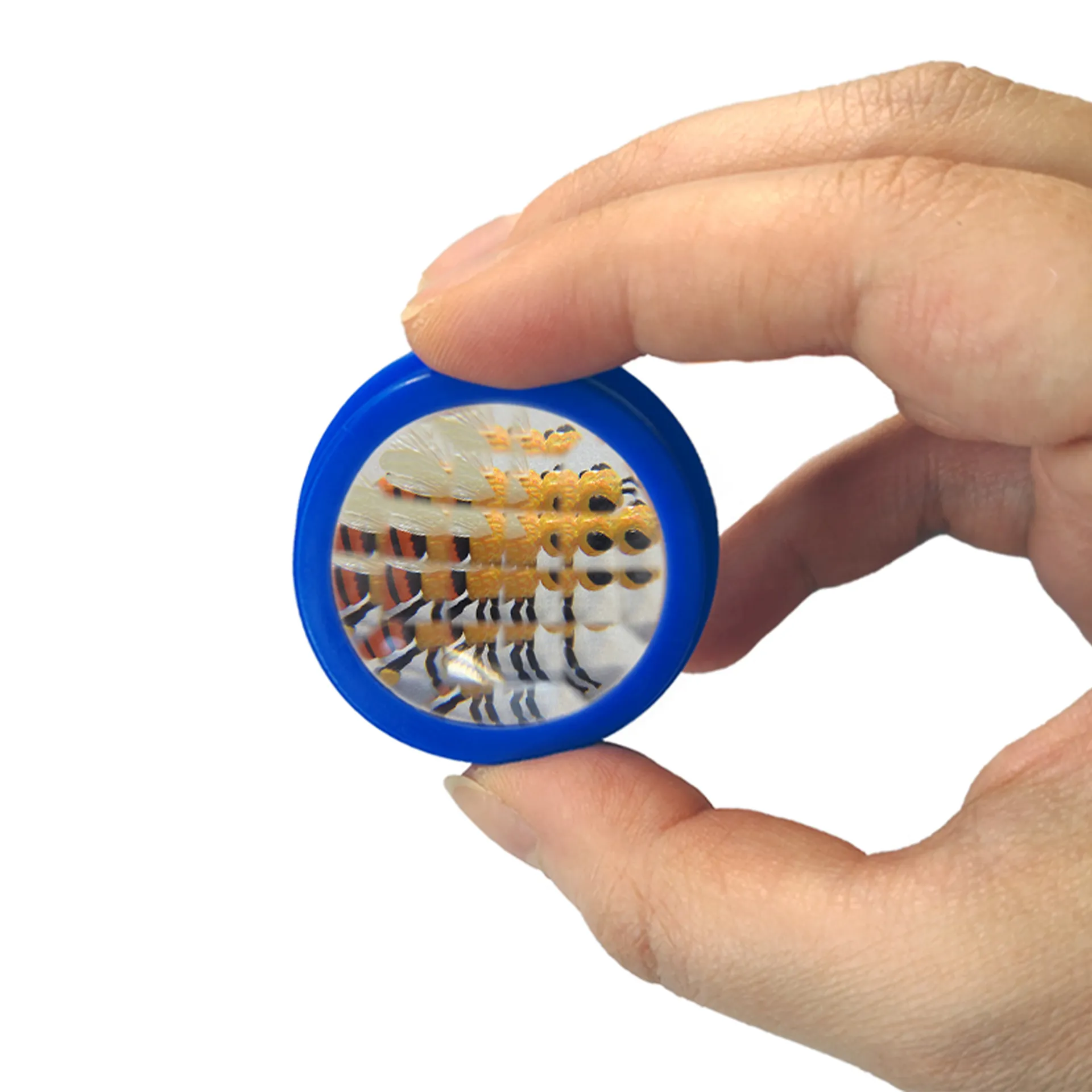 Zuchtset "Schmetterlinge", kompakt mit Komfort-Netz, 7-tlg.